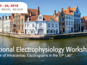 International EP Workshop Bruges