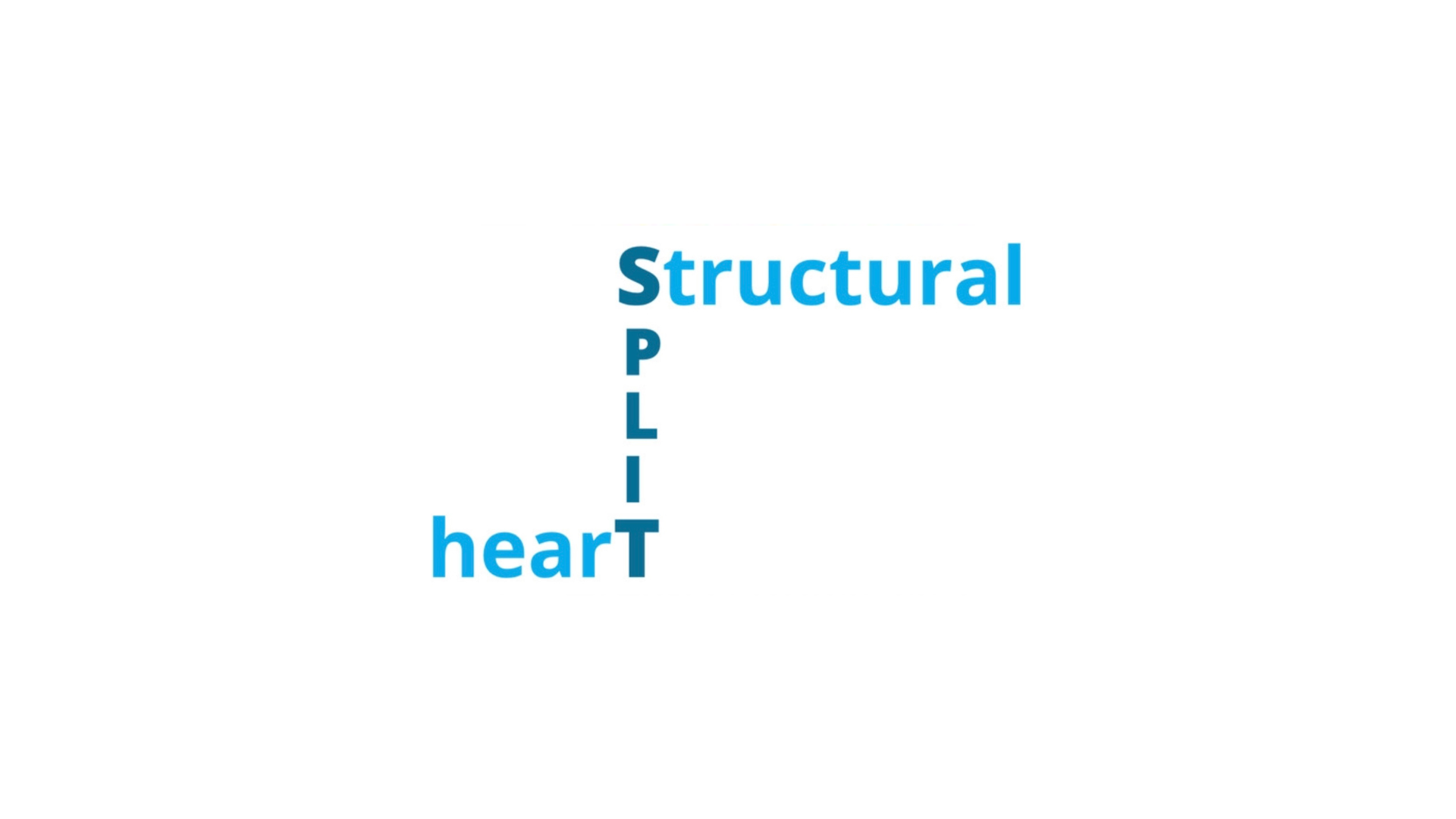 Structural Heart Interventions Symposium – Split 2024